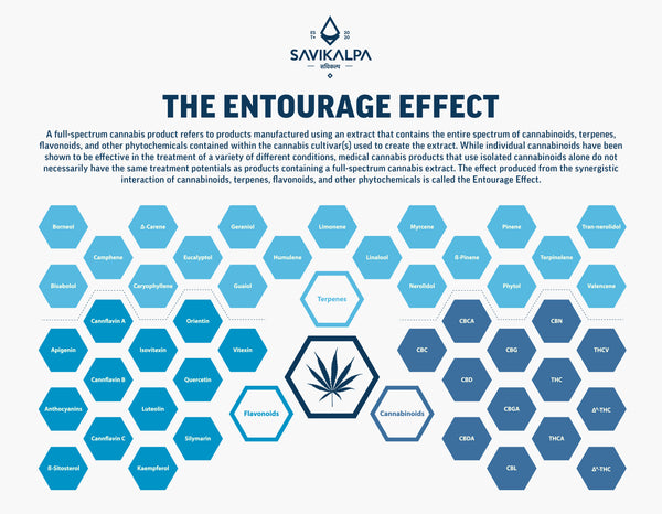 An image explaining How Does the Entourage Effect Work?