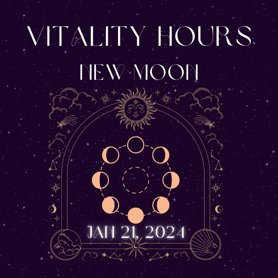 Vitality Hours New Moon yoga session by Savikalpa setup with colorful mats and wellness branding at indoor venue