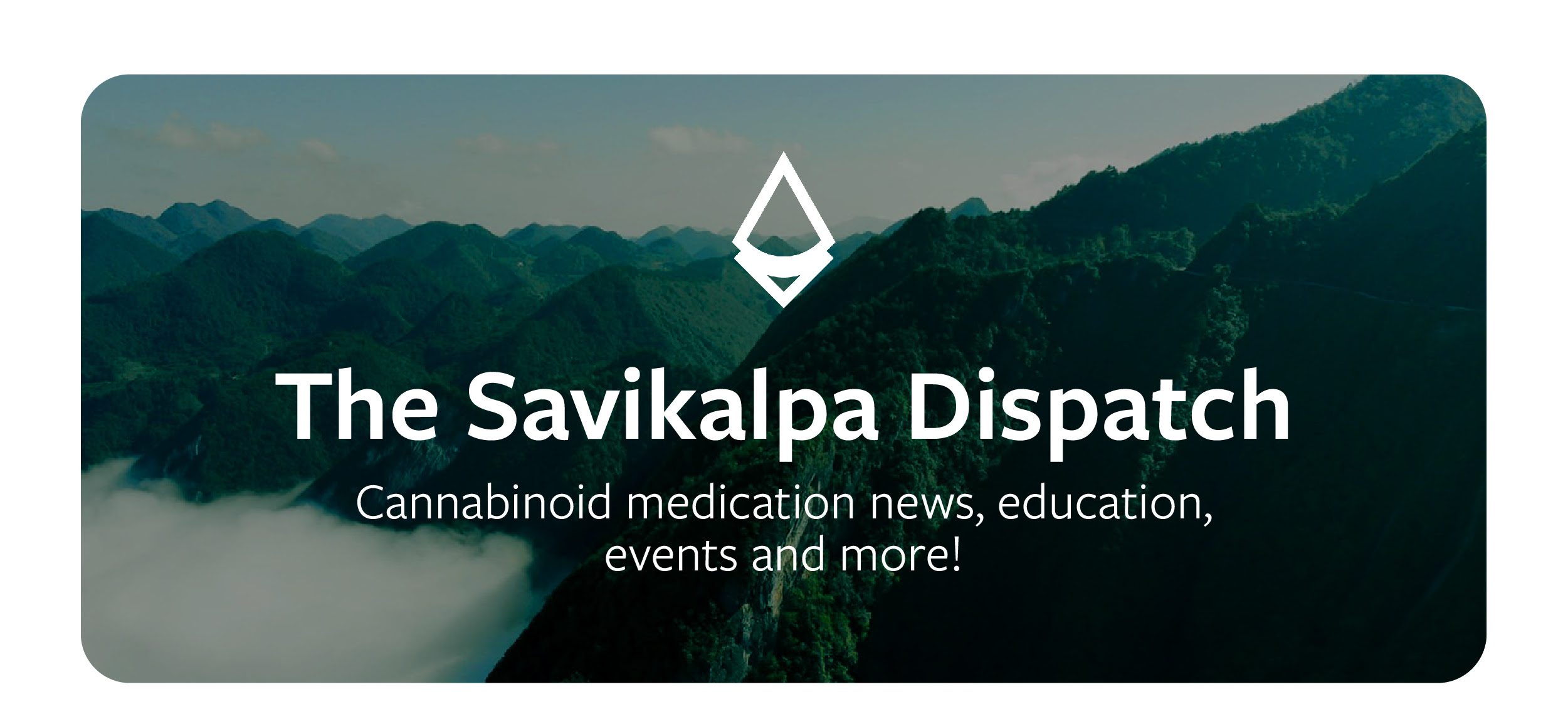 Newsletter - March 2025