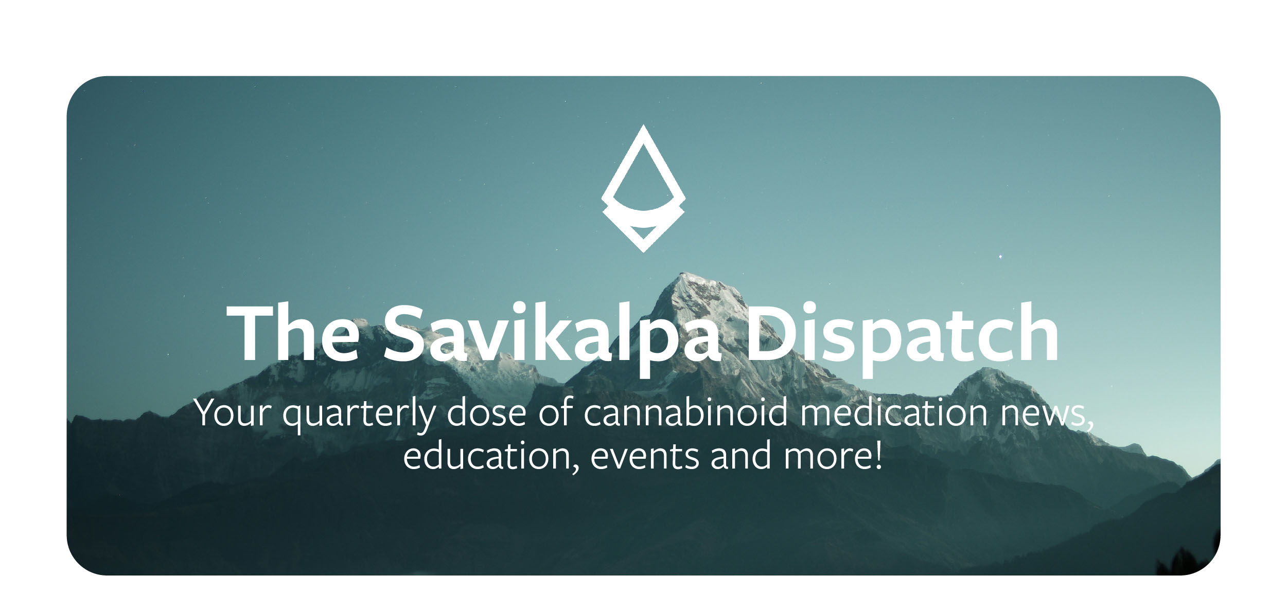 Final Newsletter_1 header.jpg