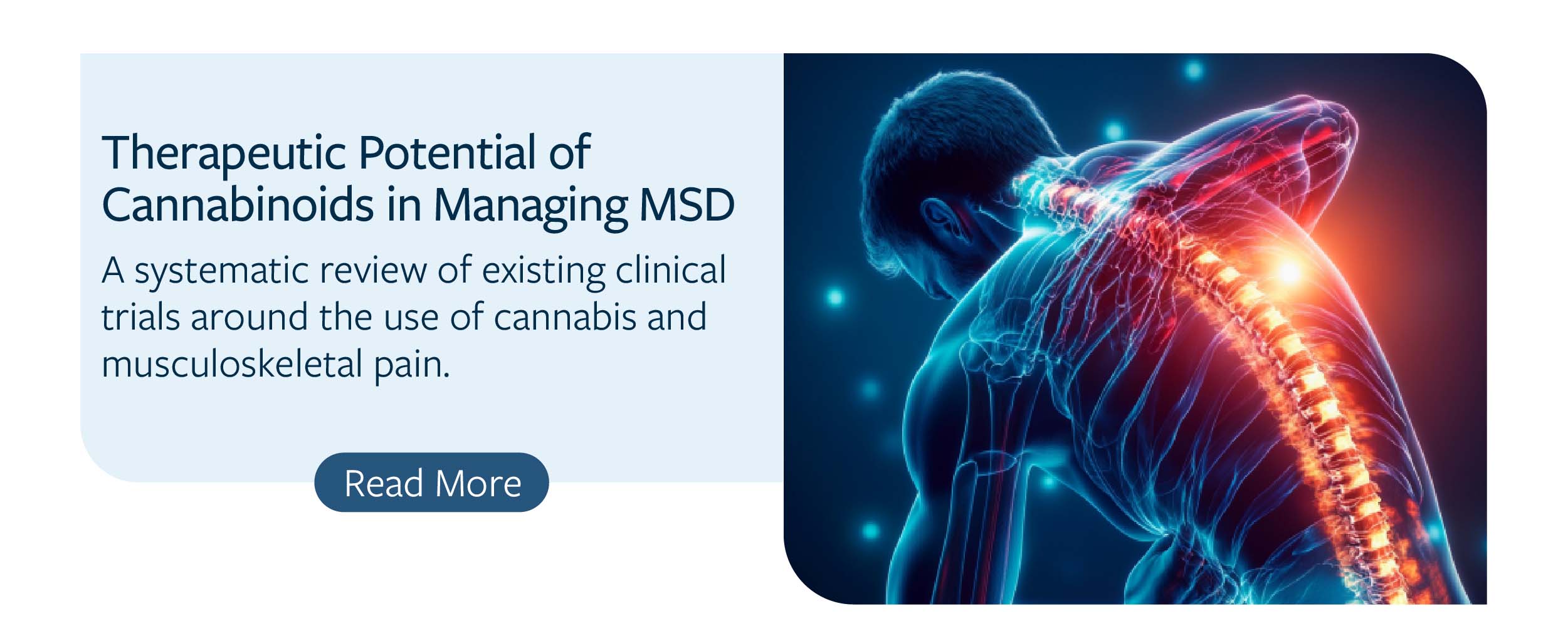 Cannabinoids in Managing MSD- A man's exray image showing  back bones in red color indicating pain 