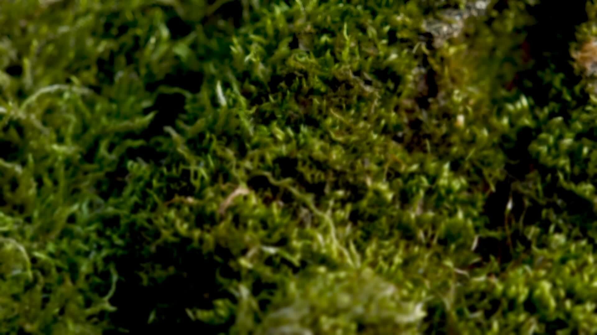 Home page header background image