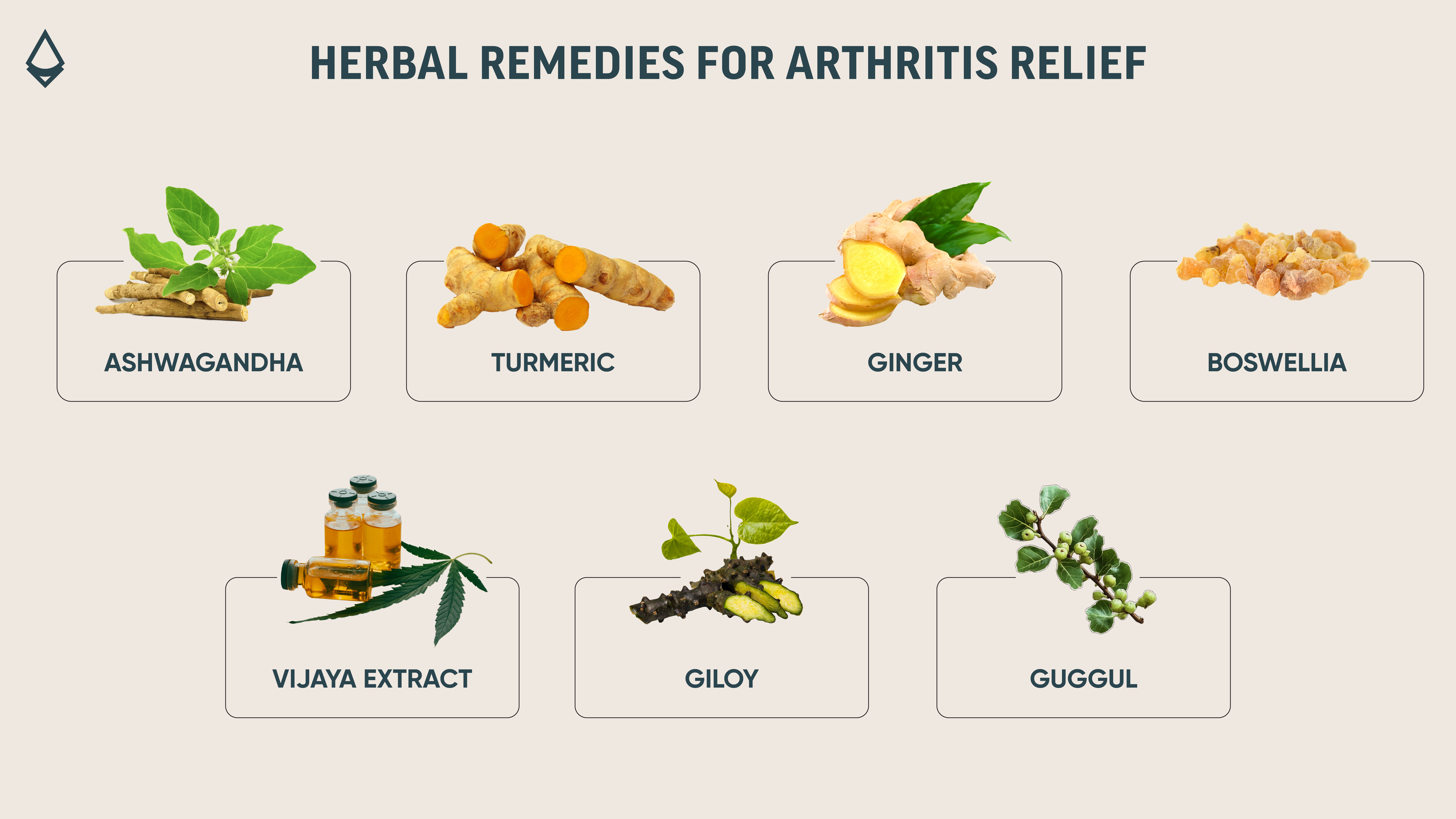 herbal_remedies_for_arthritis_relief_blog_infographic.jpg