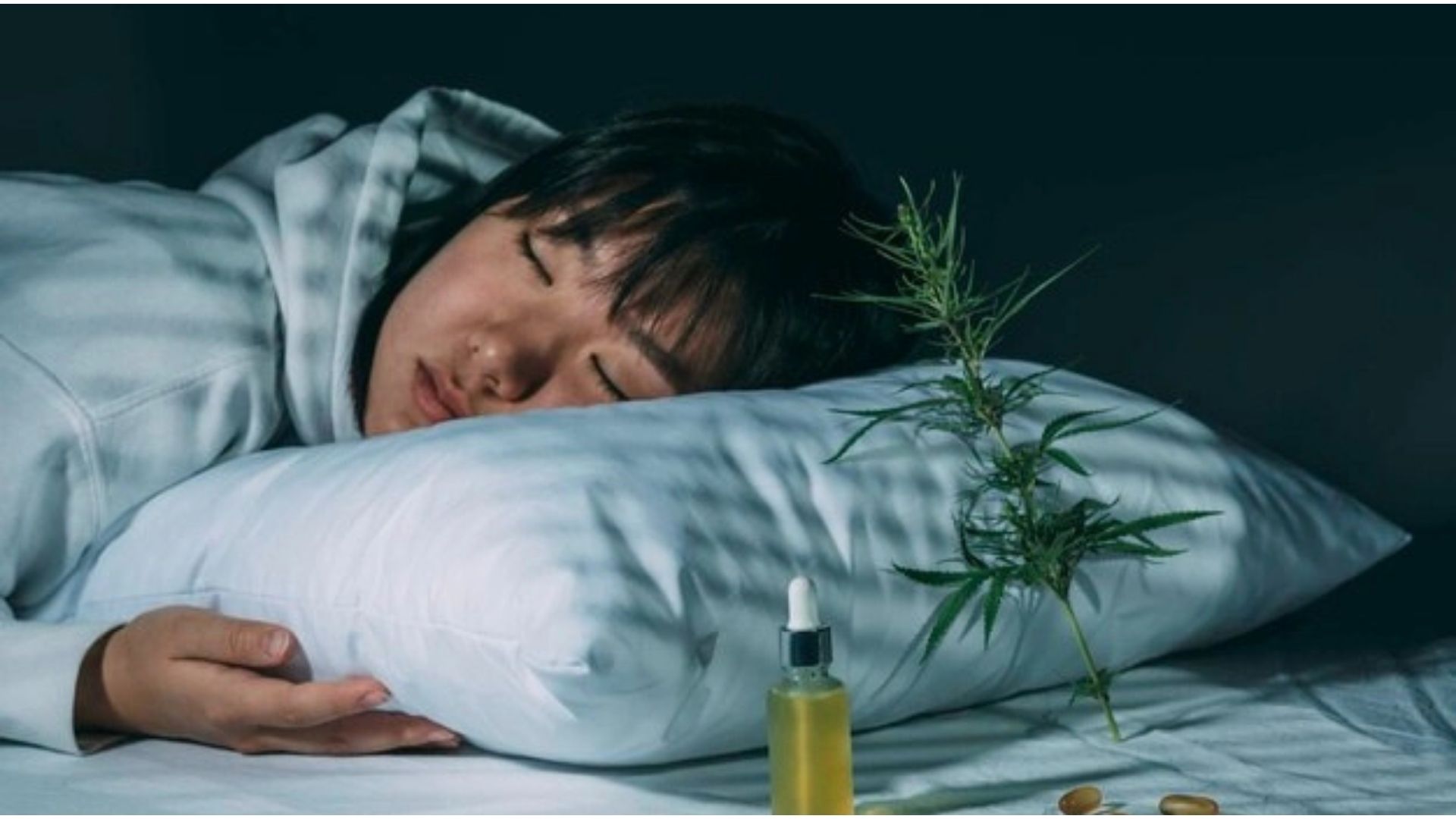 understanding_endocannabinoid_system_and_sleep_blog_featured_image.jpg