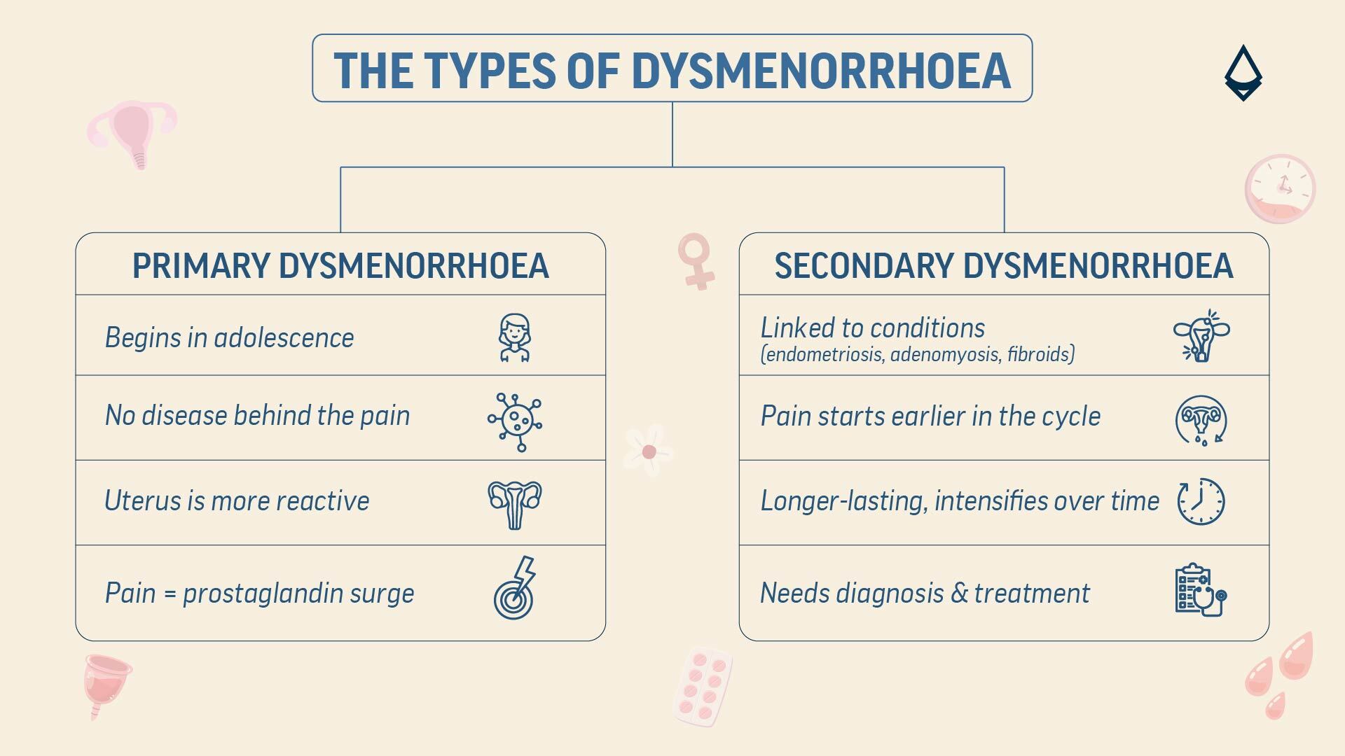 An infographic showing the two types of dysmenorrhoea across a chart distributed in two panels