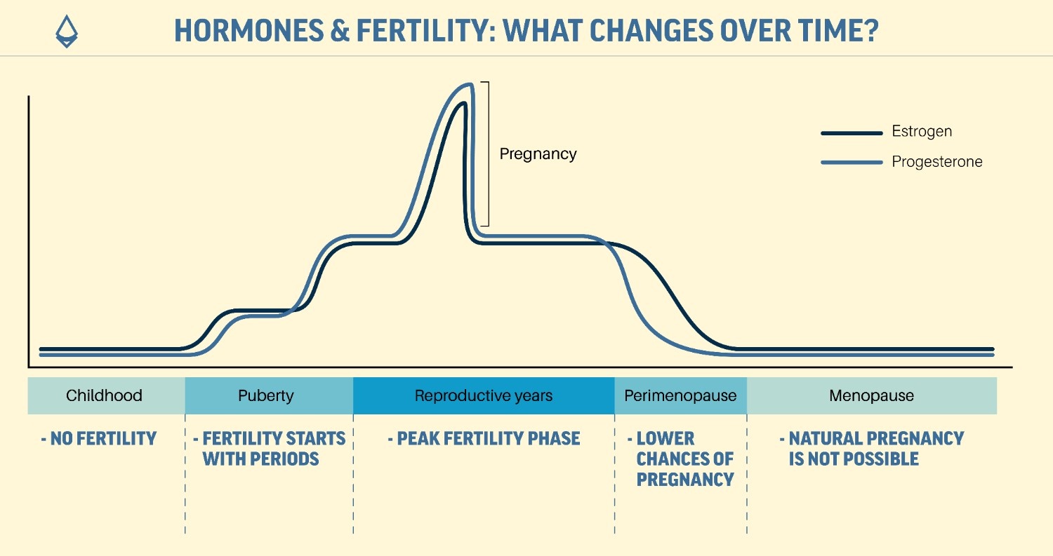 A pictorial representation of fertility in women using a bar graph