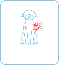 An icon of a dog suffering from canine distemper showcasing the range of issues in dogs that Pasupati Tailam helps with