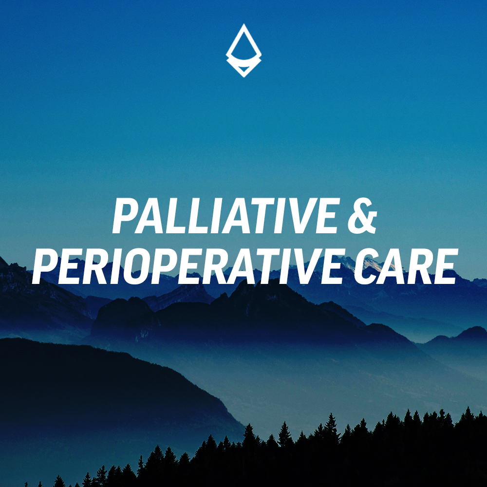 banner image of palliative and perioperative care