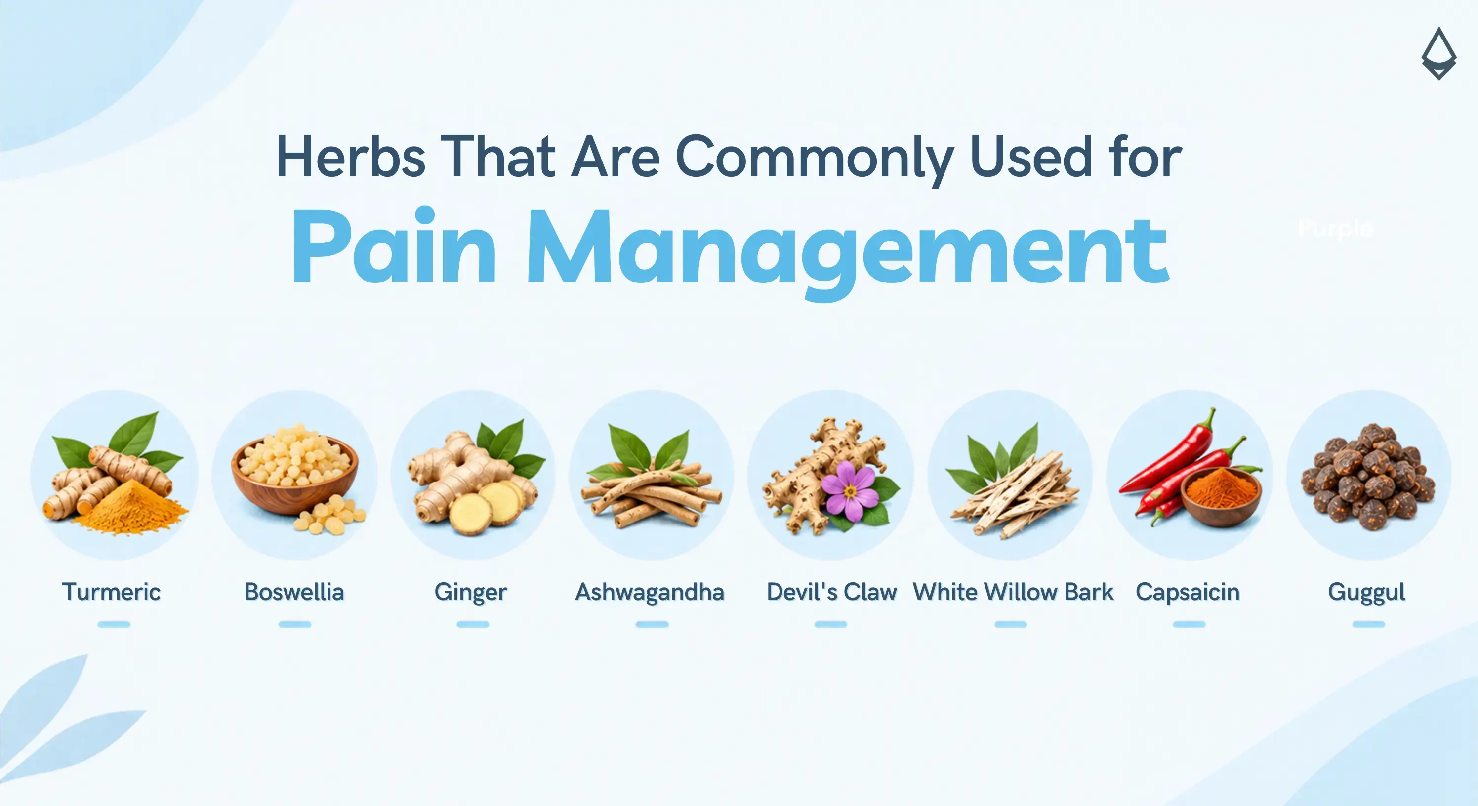 Herbs commonly used for pain management divided across panels for blog infographic