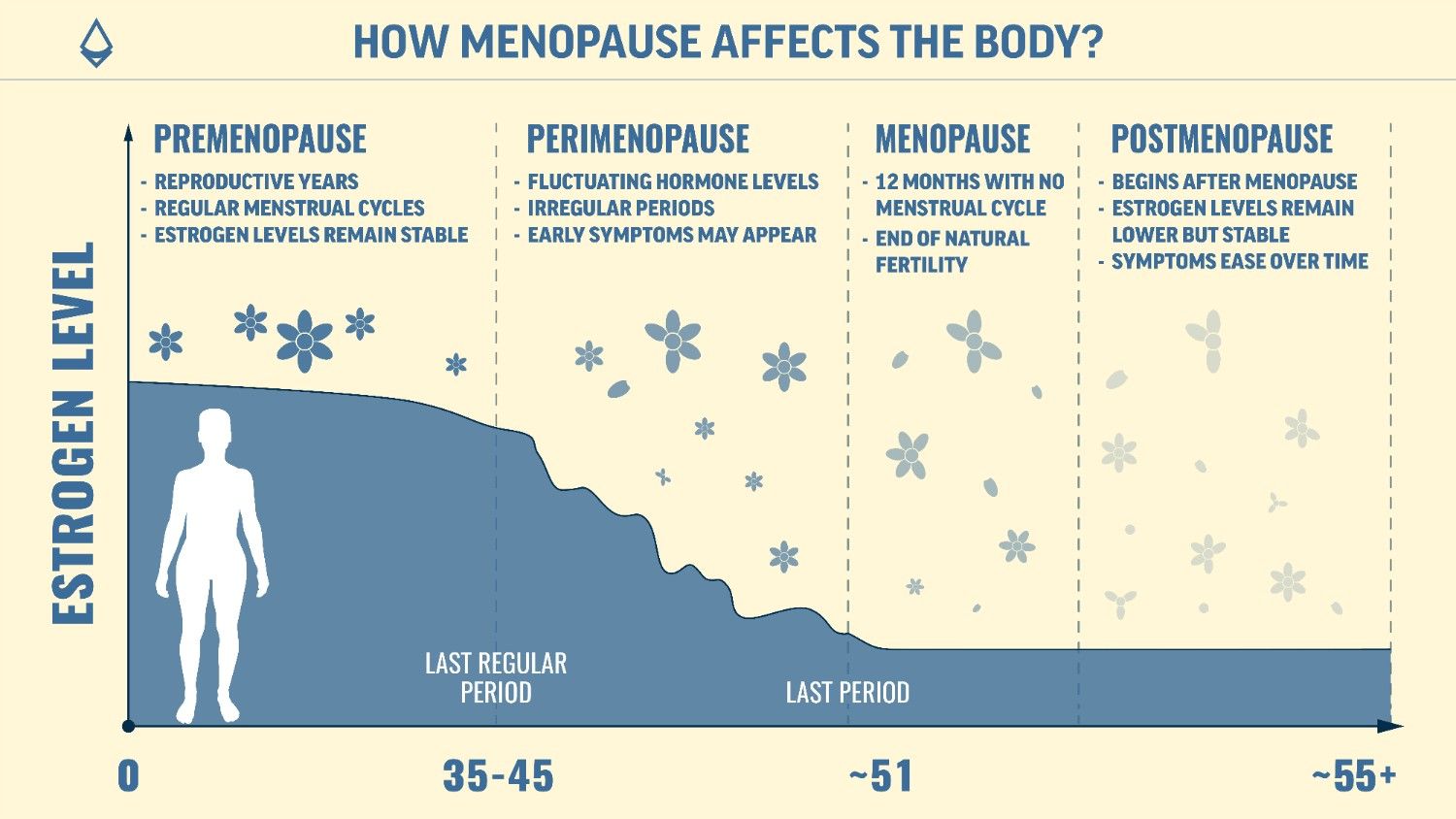A blog infographic showing the menopause timeline on a pictorial graph