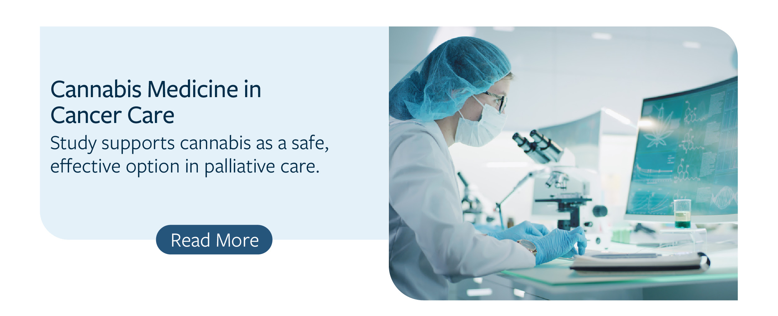 Image describing cannabis medicine in cancer care July 2025 newsletter academy article 1
