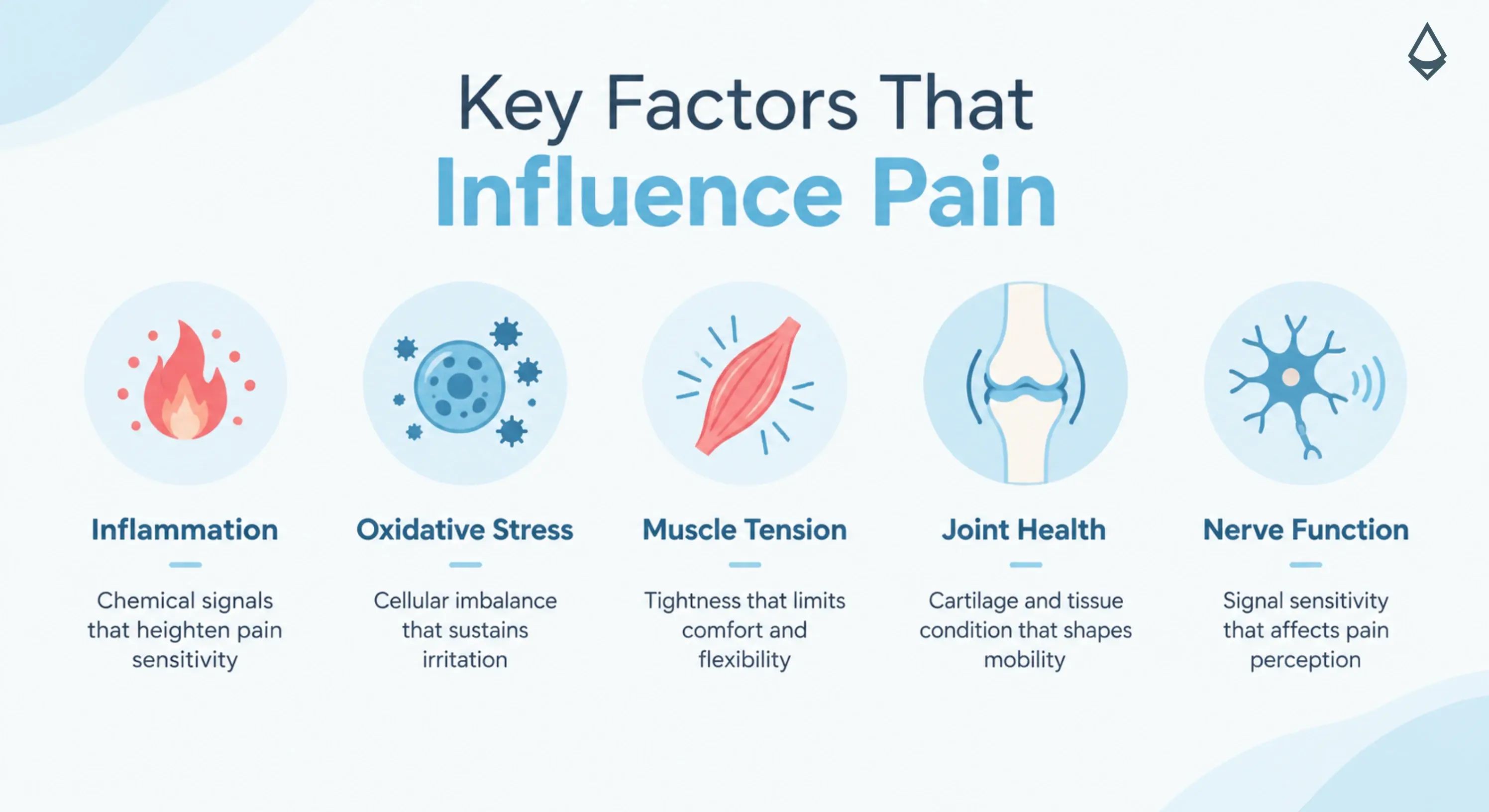 key factors that influence pain distributed across five panels blog infographic