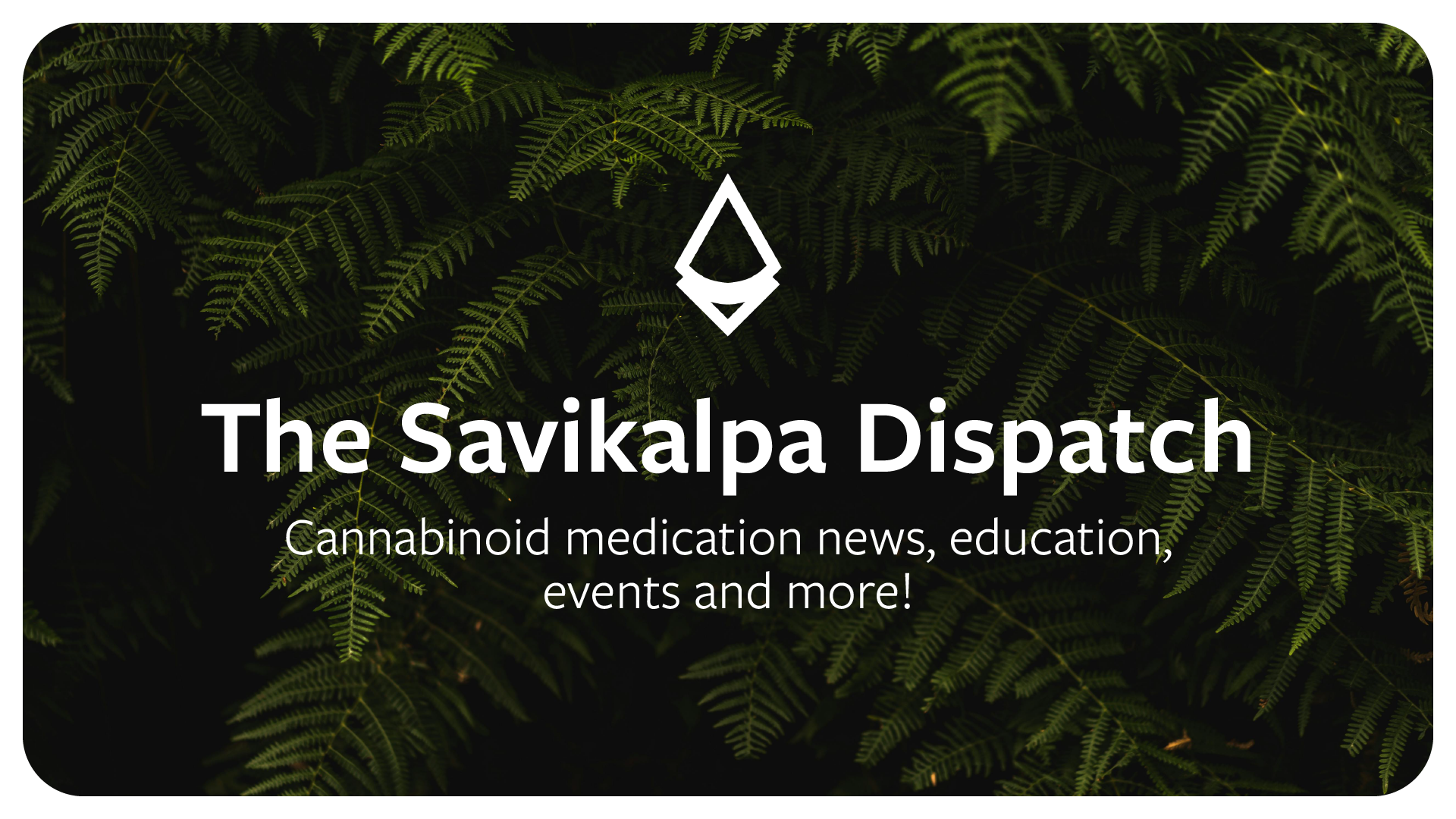 Newsletter - June 2024