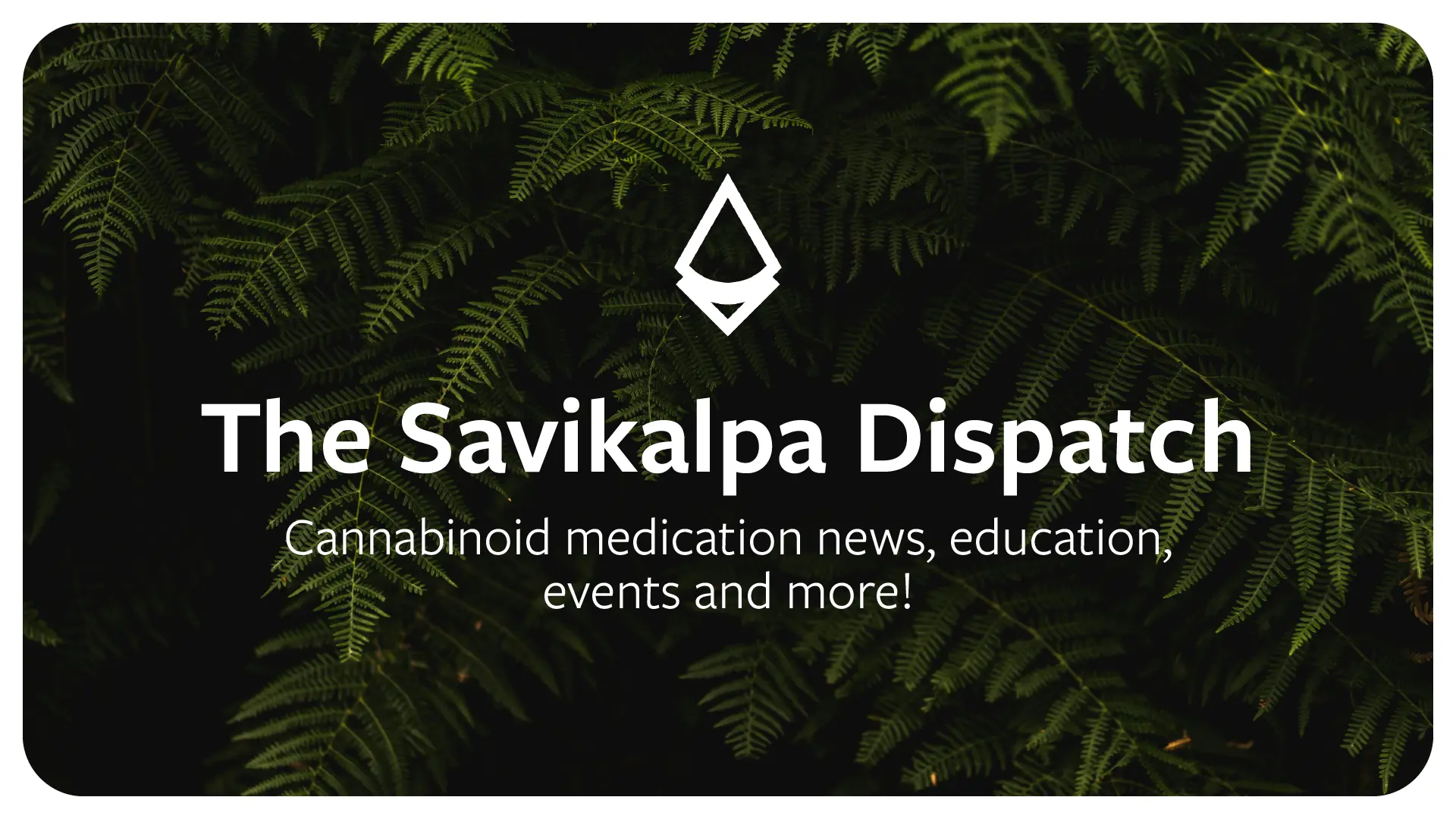 Newsletter - June 2024