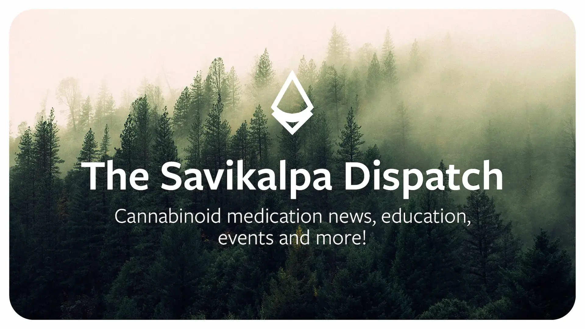 Newsletter - December 2024