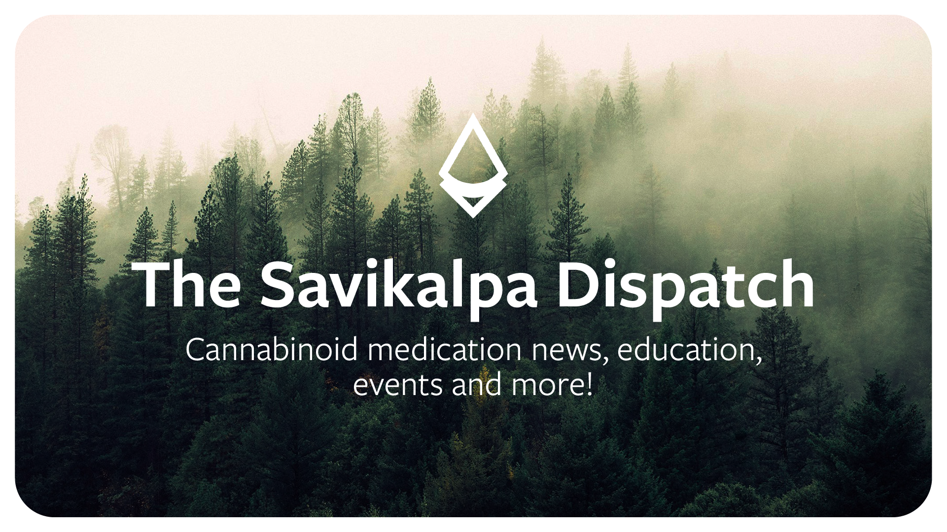 Newsletter - October 2024