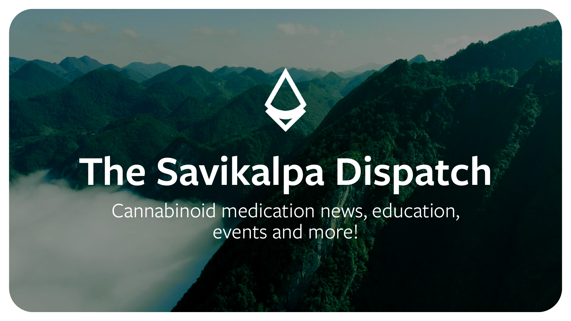Newsletter - March 2025