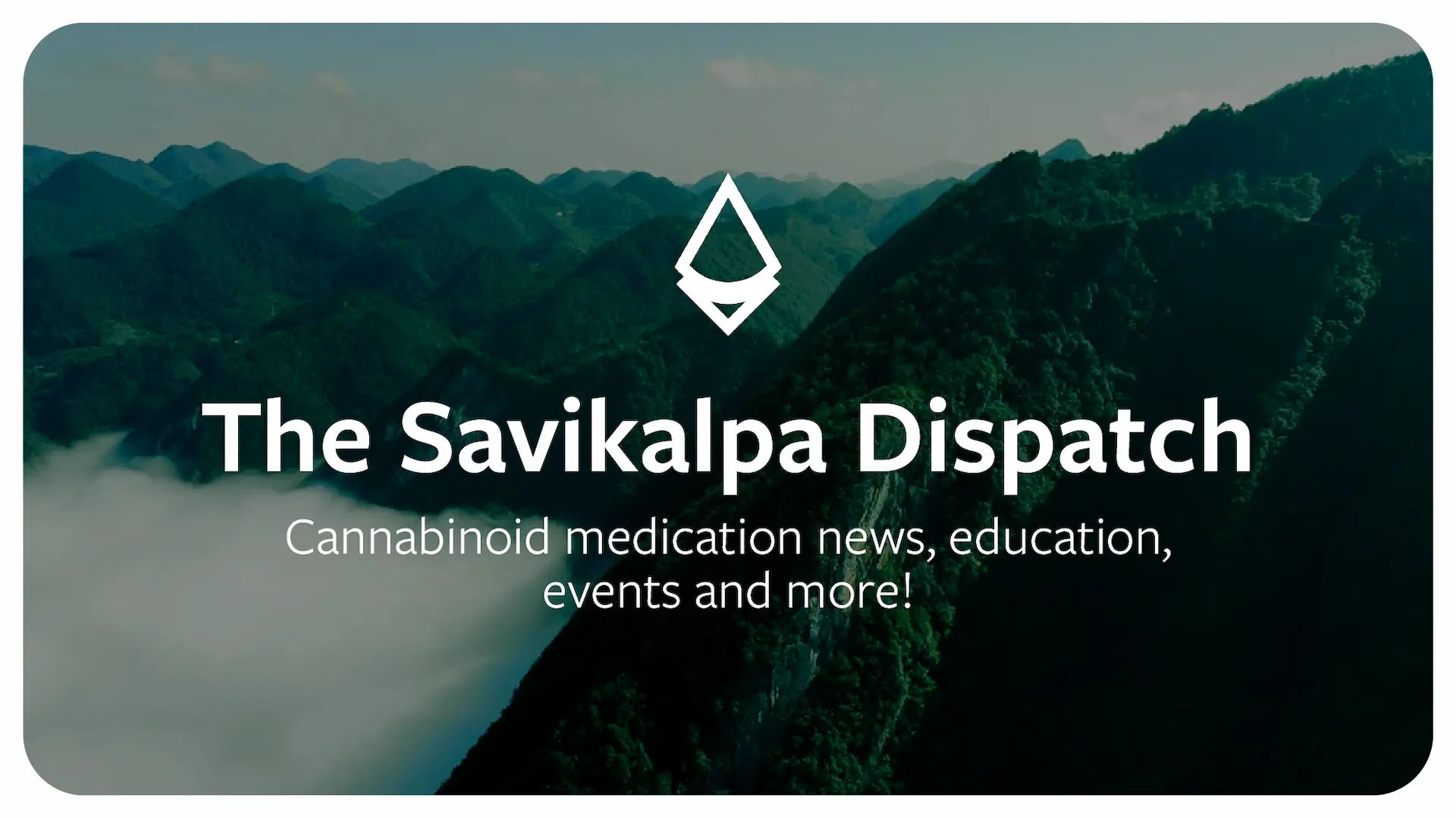 Newsletter - March 2025