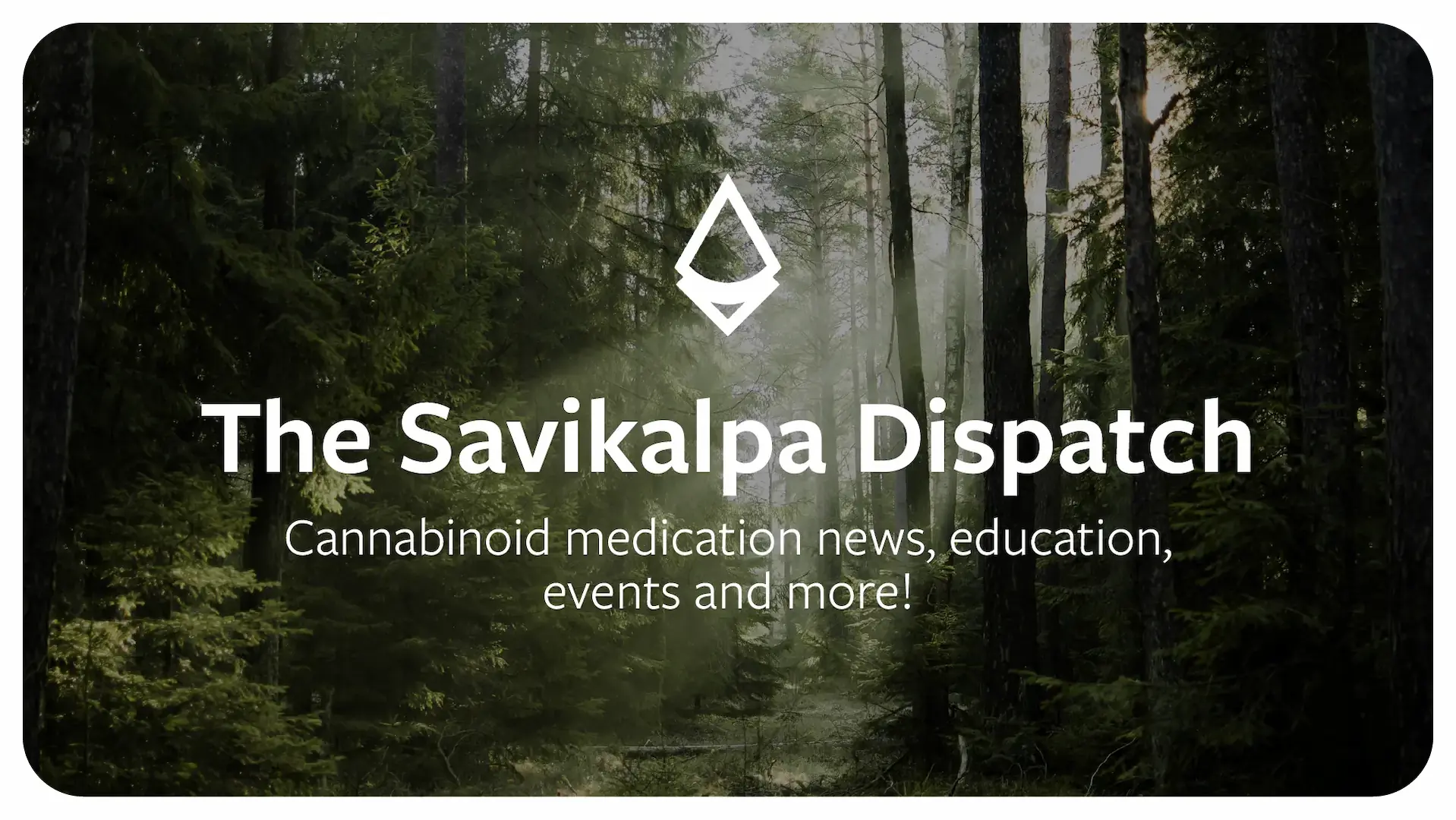 Newsletter - October 2025