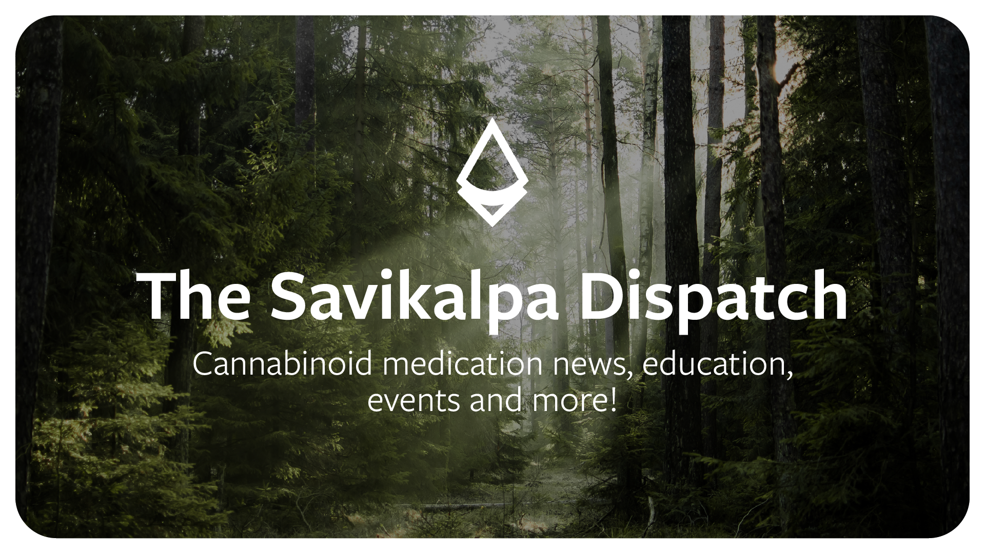 Newsletter - October 2025