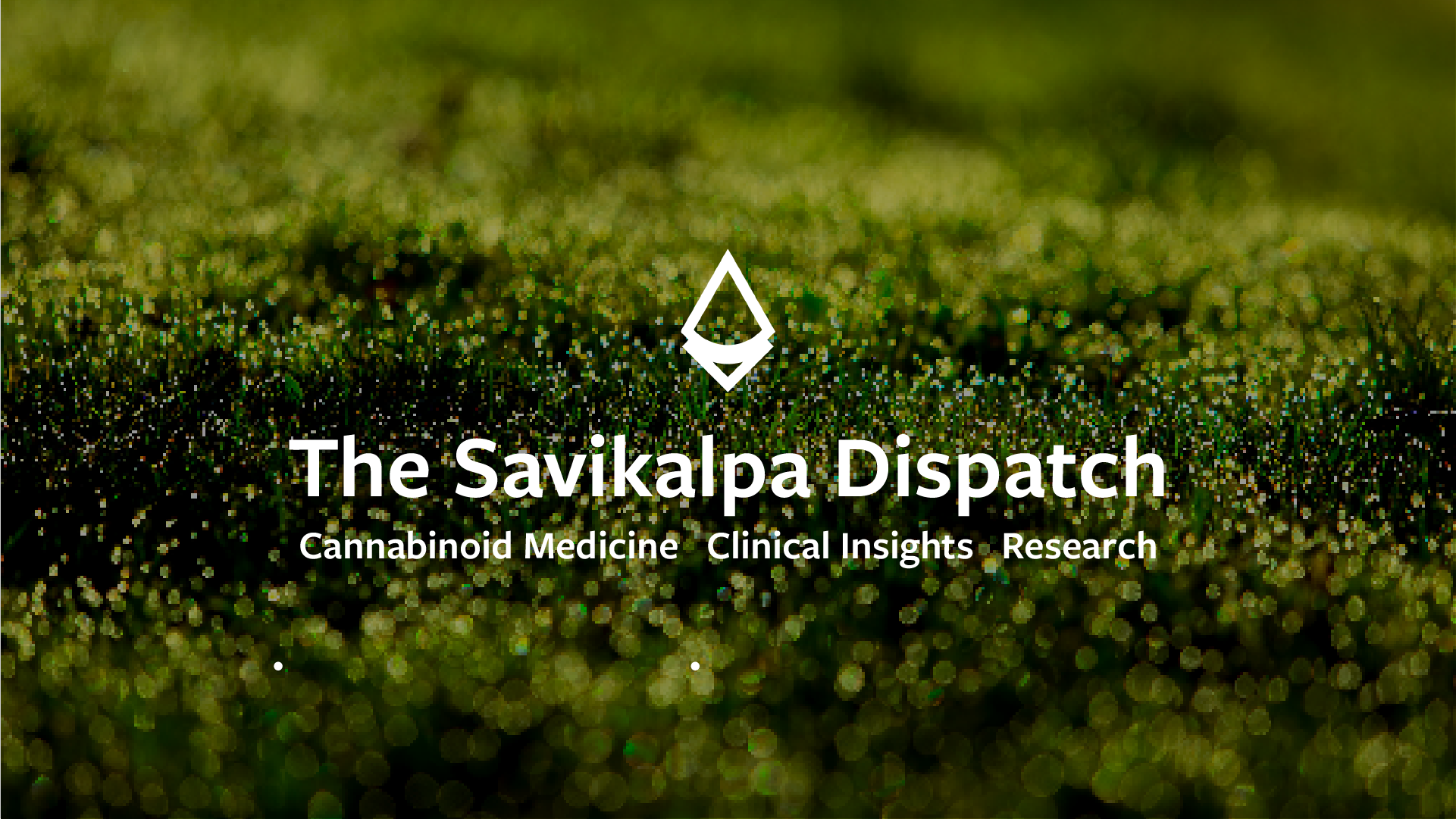 Newsletter - December 2025