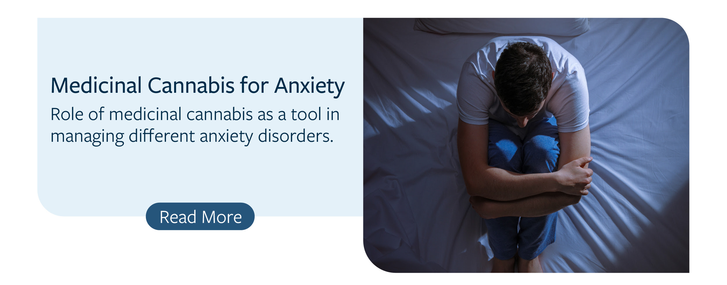 A research article called medical cannabis for anxiety for newsletter