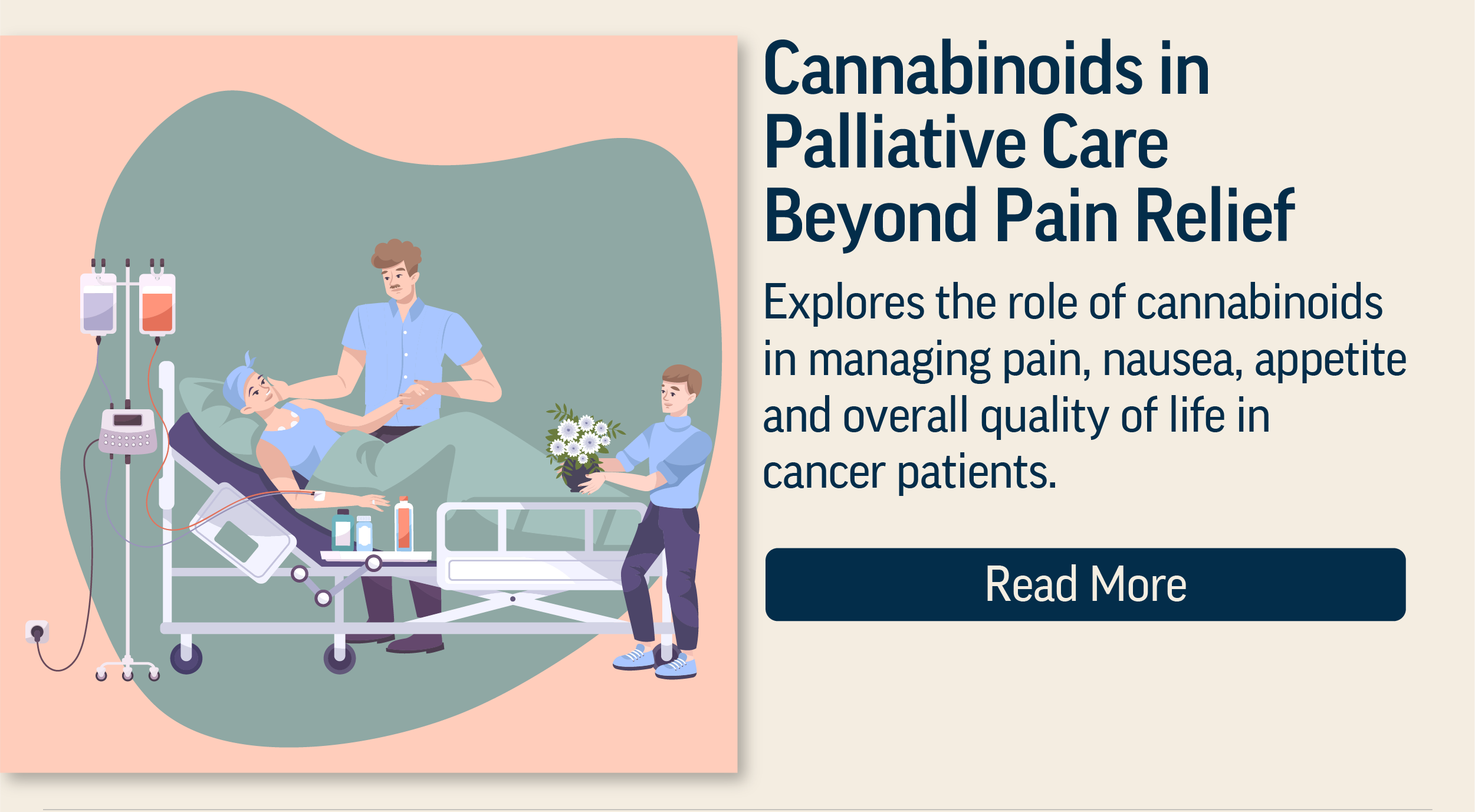 An article on cannabinoids in palliative care beyond pain relief for newsletter May 2026