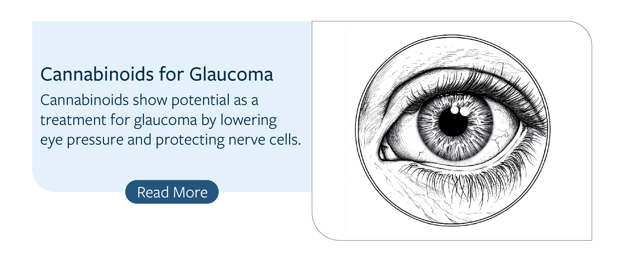 Savikalpa journal study 1 for october 2024 newsletter