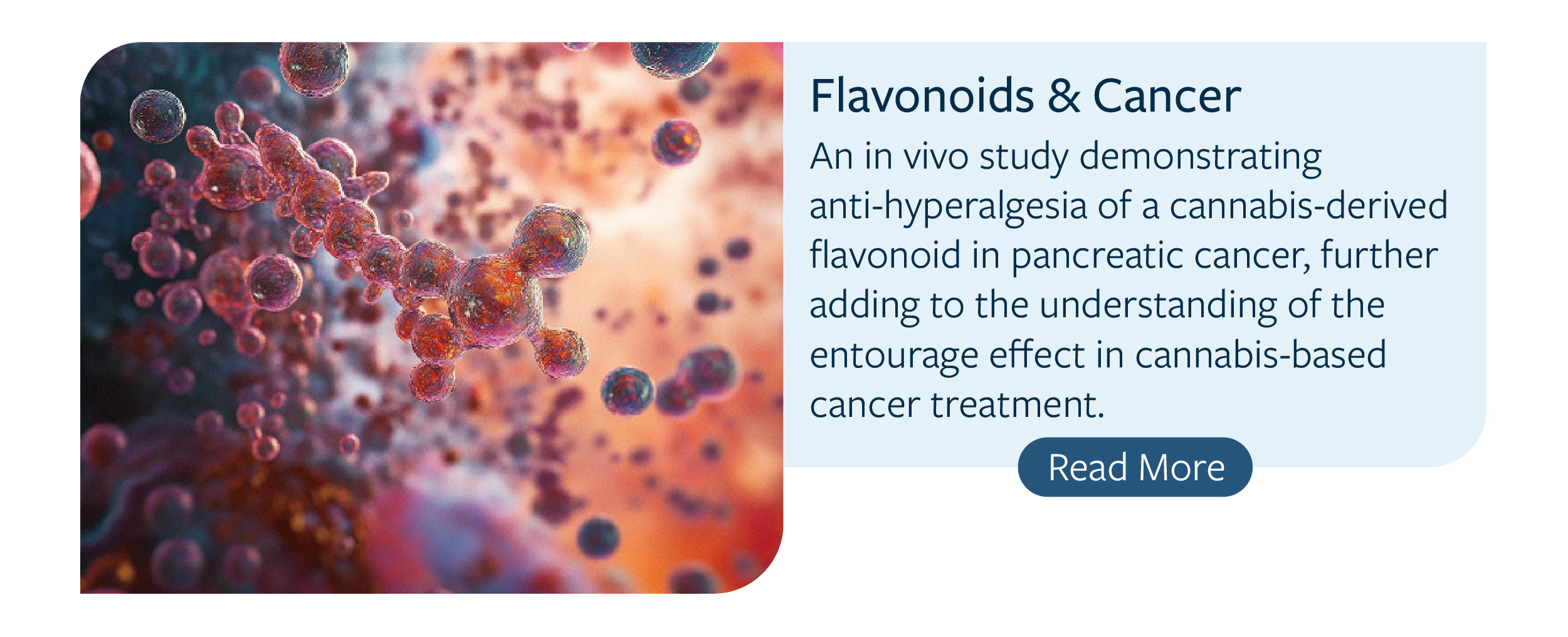 Savikalpa journal study 2 for october 2024 newsletter