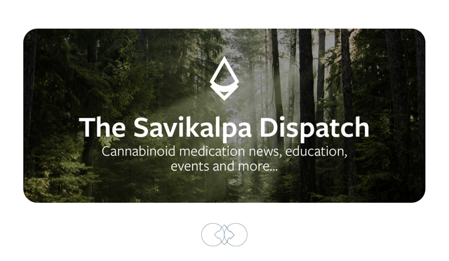 A banner image for savikalpa june 2025 newsletter header