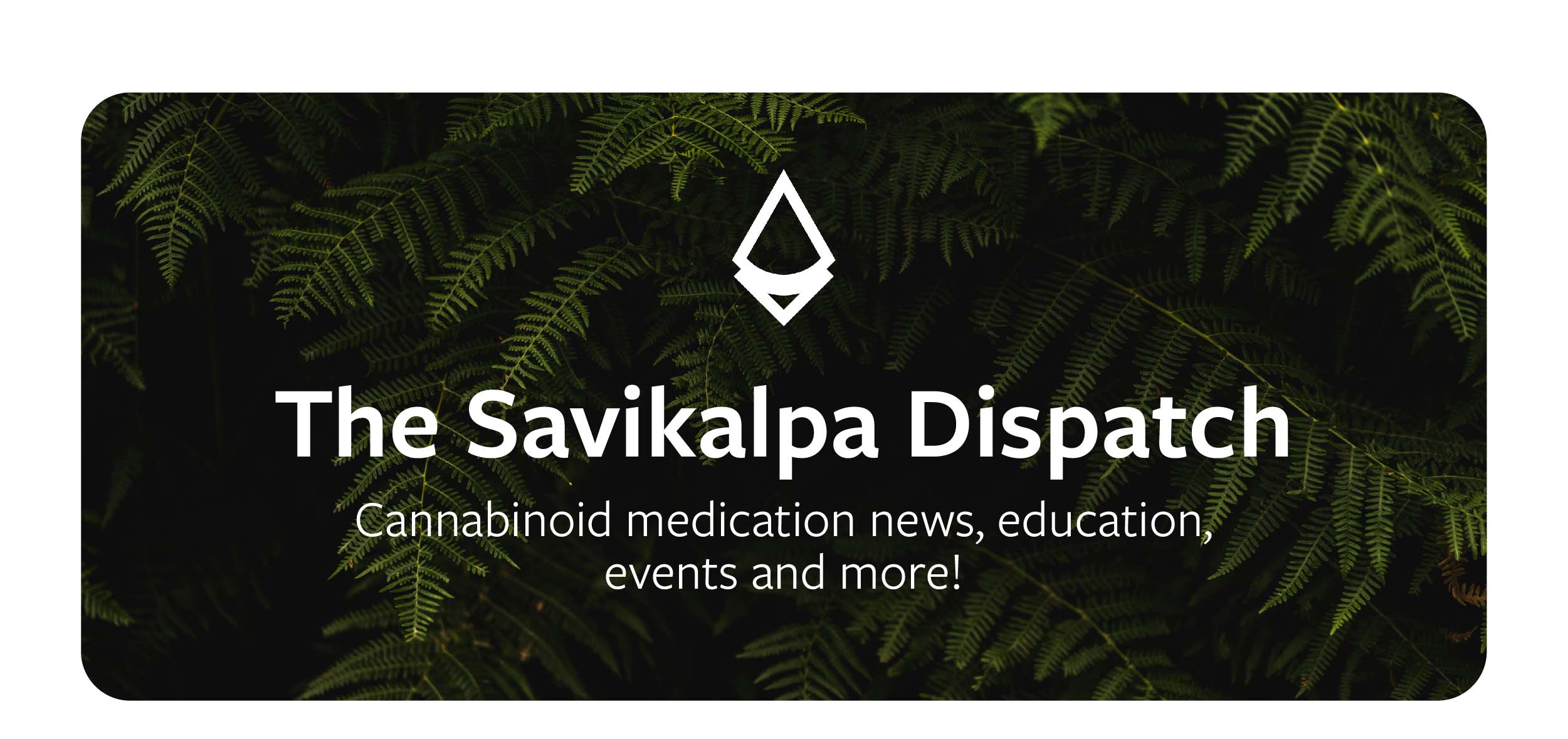 Newsletter - June 2024