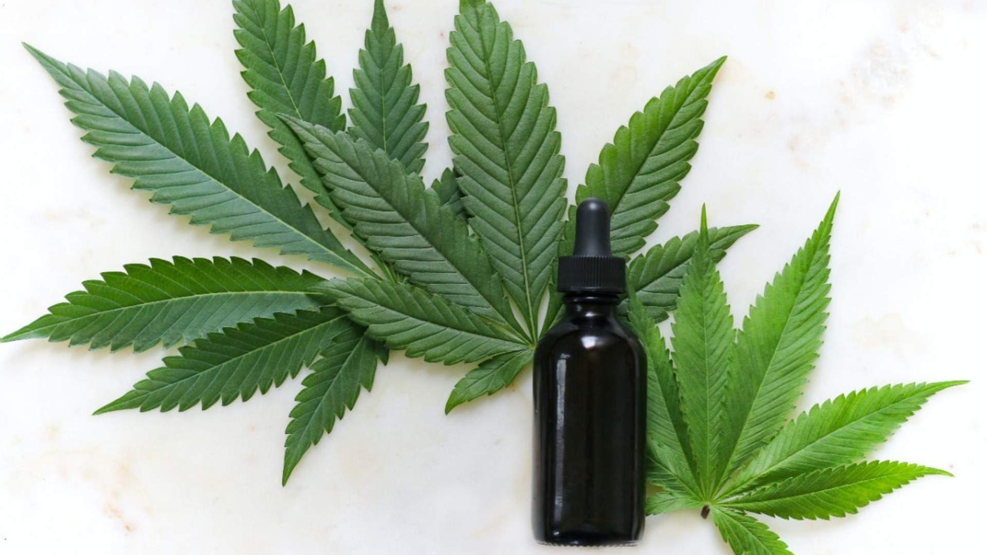 CBD oil and cannabis leaves arranged on a marble surface, illustrating the theme of accessing prescription cannabis medicine
