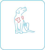 An icon of a dog suffering from skin issues showcasing the range of issues in dogs that Pasupati Tailam helps with
