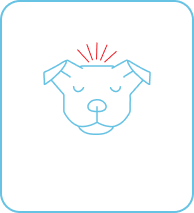  Icon of a dog suffering from stress and anxiety showcasing Pasupati Tailam can help with this issue