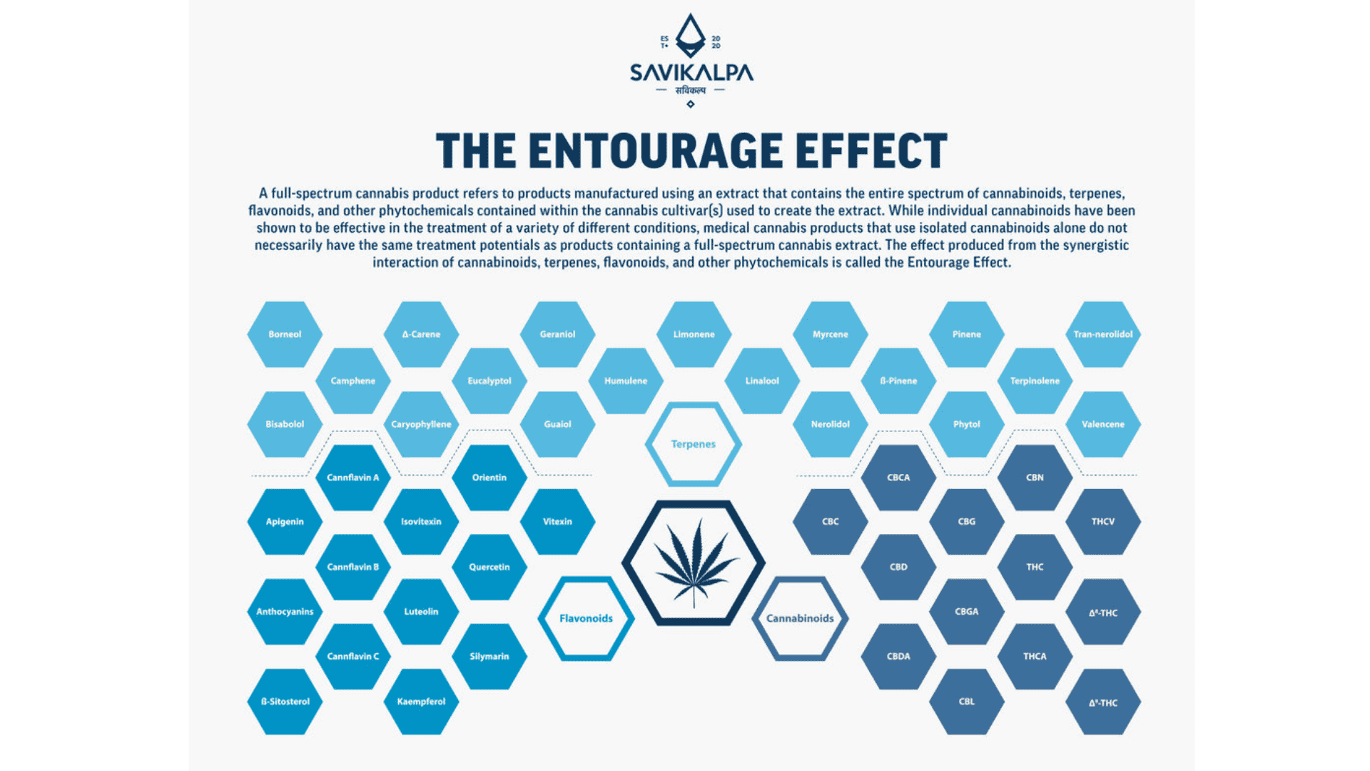 Visual representation of the entourage effect, detailing the interaction of cannabis compounds for improved therapeutic outcomes