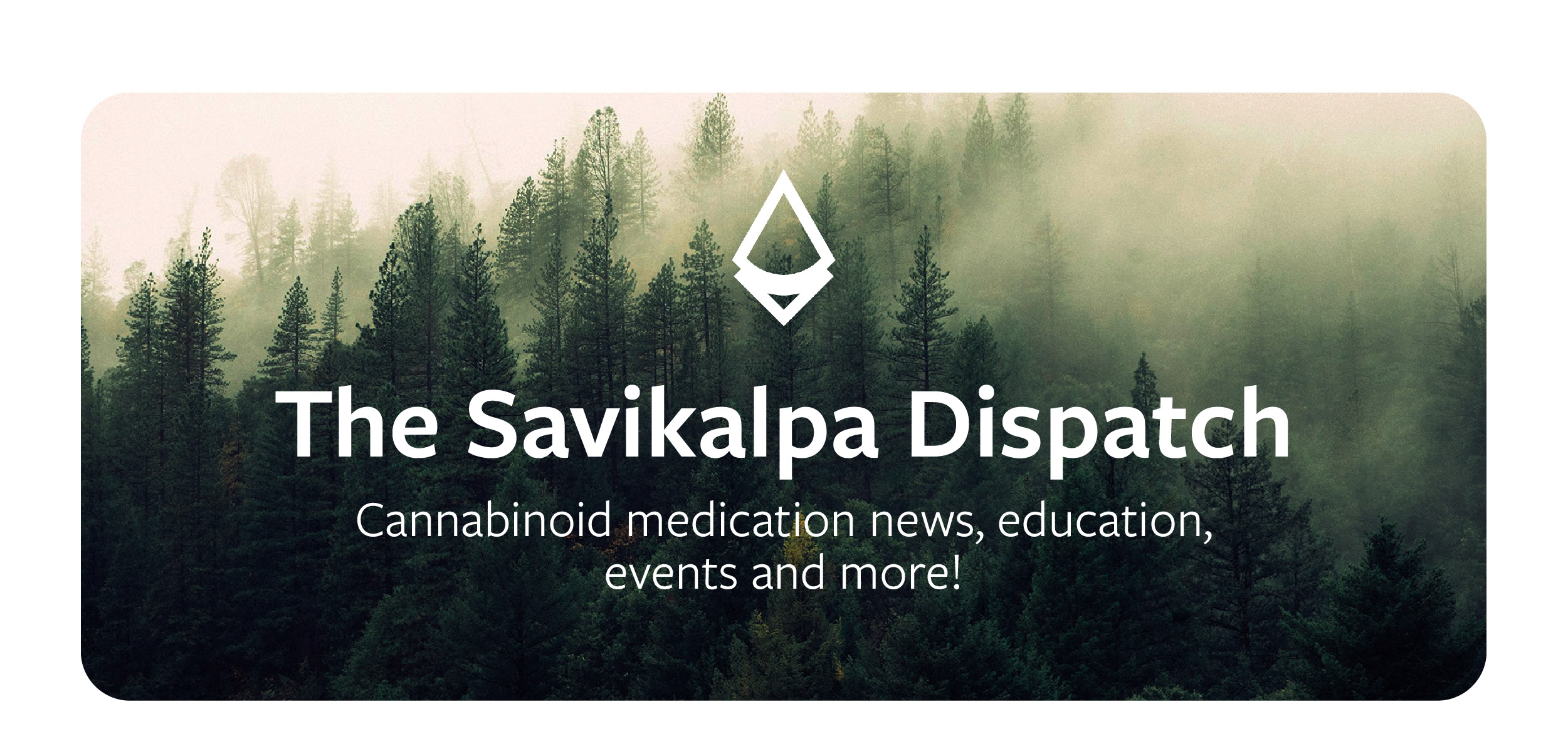 Newsletter - October 2024