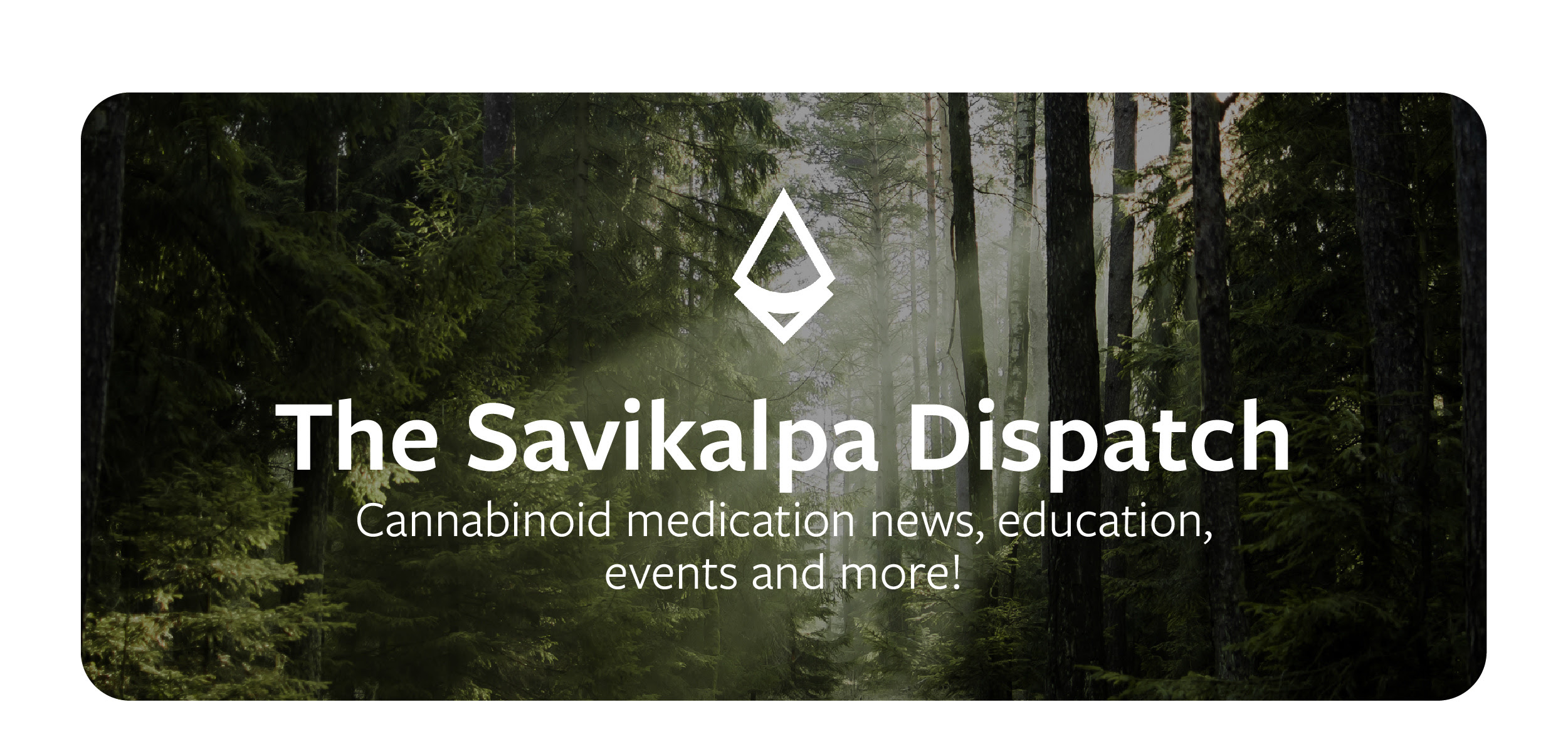 A banner image of Savikalpa Dispatch October 2025 issue with a forest background
