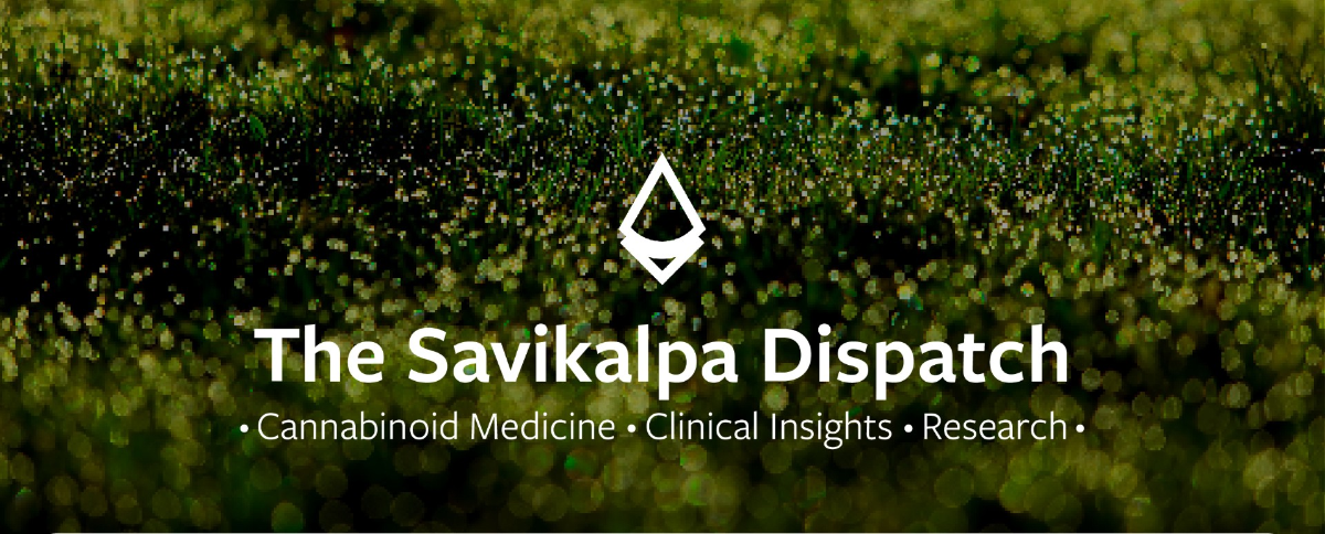 Newsletter - December 2025