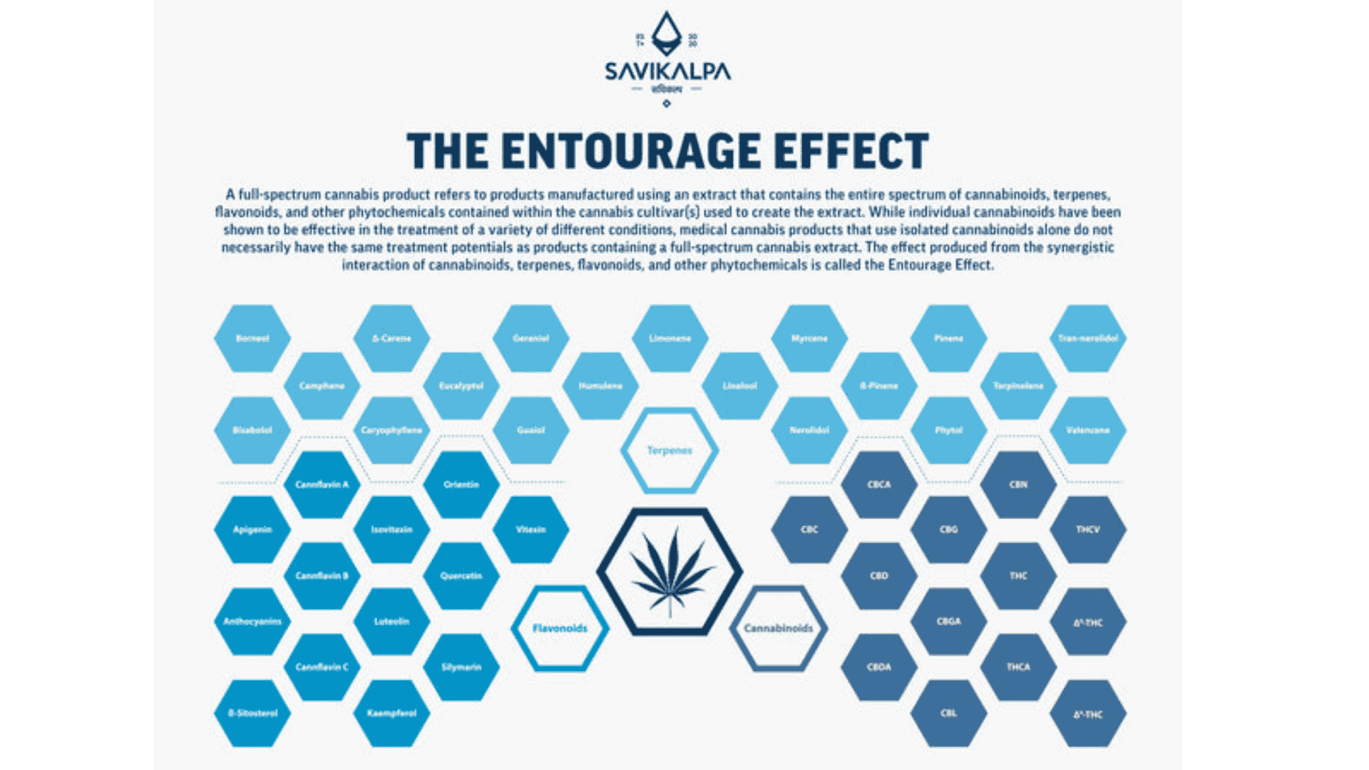 Infographic explaining the entourage effect in cannabinoid medicine, illustrating how compounds work together